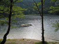Feldberg