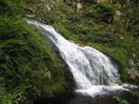 Ortenau